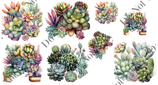 Decal Sheets - Succulents