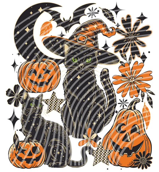 DT#5 Without / 6inch