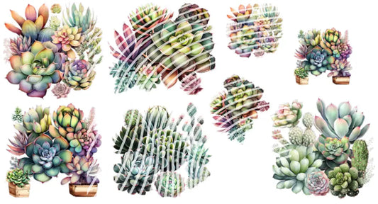 UV DTF Decal Sheets - Succulents